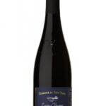 gamay couleur pourpre