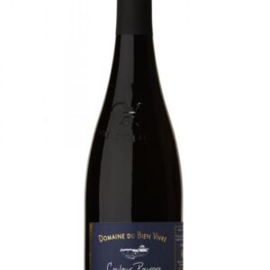 gamay couleur pourpre