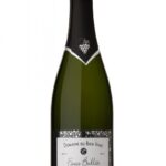 fines bulles blanc